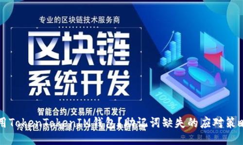 如何安全使用TokenTokenIM钱包？助记词缺失的应对策略与安全指南