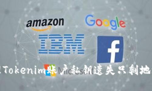 如何处理Tokenim账户私钥遗失只剩地址的情况