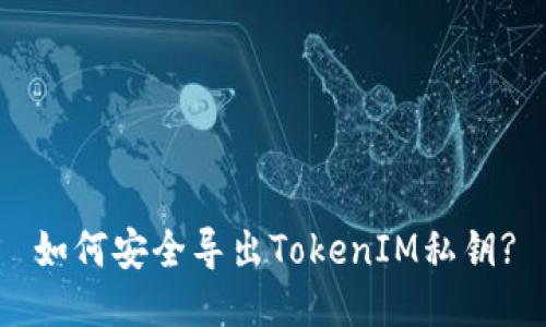 如何安全导出TokenIM私钥?