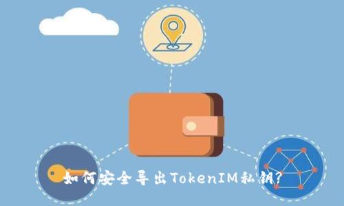 如何安全导出TokenIM私钥?