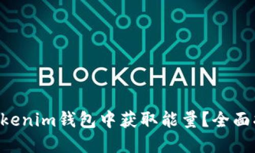 如何在TokenTokenim钱包中获取能量？全面指南与实用技巧