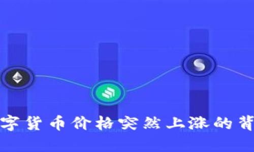 探究数字货币价格突然上涨的背后原因