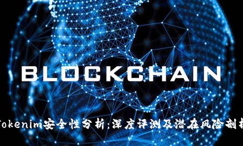 Tokenim安全性分析：深度评测及潜在风险剖析