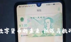 数字货币的未来：机遇与挑战