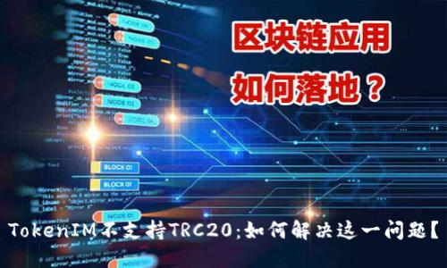 TokenIM不支持TRC20：如何解决这一问题？