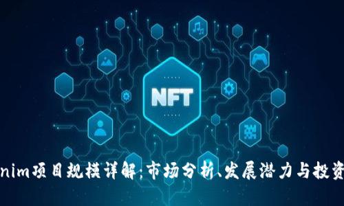 Tokenim项目规模详解：市场分析、发展潜力与投资前景