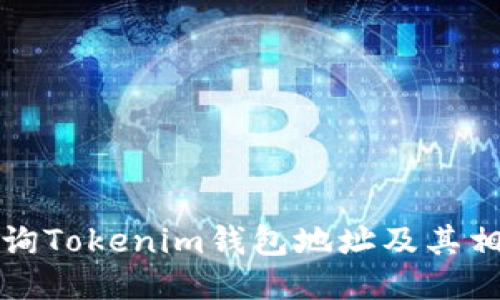 如何查询Tokenim钱包地址及其相关信息