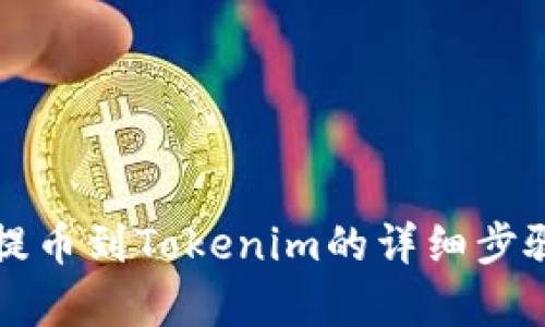 欧意提币到Tokenim的详细步骤解析