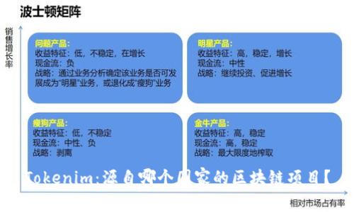 Tokenim：源自哪个国家的区块链项目？