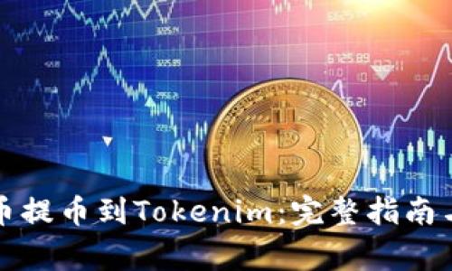 如何将货币提币到Tokenim：完整指南与注意事项