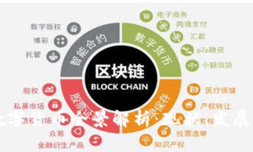美国数字货币全景解析：现状、发展与未来