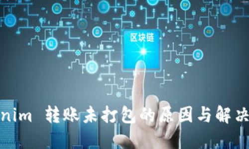 Tokenim 转账未打包的原因与解决方案