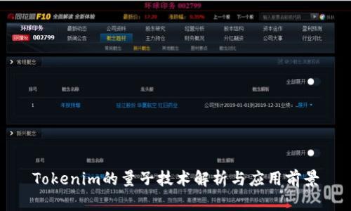 Tokenim的量子技术解析与应用前景