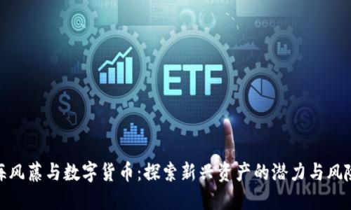 海风藤与数字货币：探索新兴资产的潜力与风险
