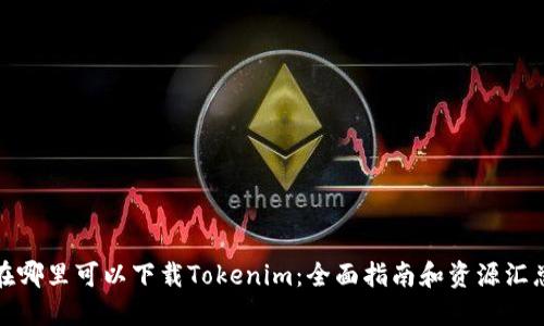 在哪里可以下载Tokenim：全面指南和资源汇总