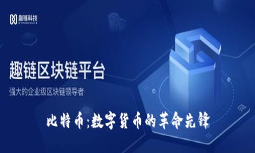 比特币：数字货币的革命先锋
