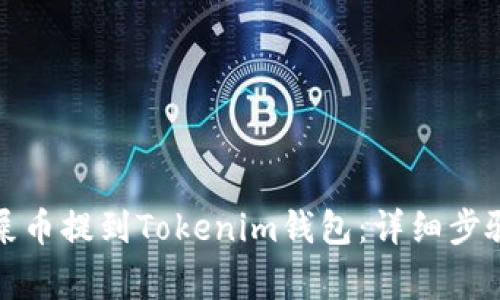 如何成功将屎币提到Tokenim钱包：详细步骤与注意事项