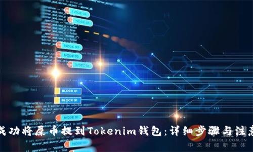 如何成功将屎币提到Tokenim钱包：详细步骤与注意事项