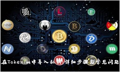 如何在Tokenim中导入私钥：详细步骤与常见问题解答