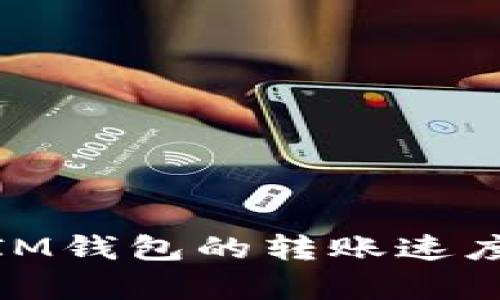 如何加速TokenTokenIM钱包的转账速度？全面解析与解决方案