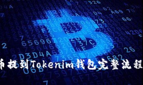 FIL币提到Tokenim钱包完整流程教程