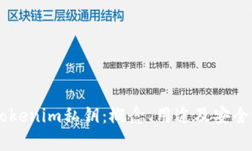 了解Tokenim私钥：概念、用途及安全性分析