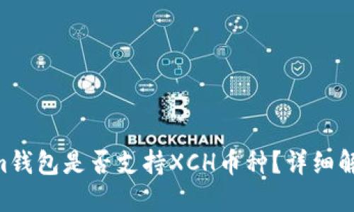 TokenTokenim钱包是否支持XCH币种？详细解答与使用指南