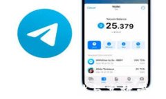 Tokentokenim钱包：安全存储与高效管理USDT的最佳选