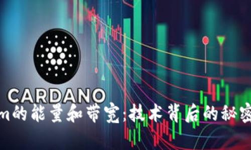 探究Tokenim的能量和带宽：技术背后的秘密与应用前景