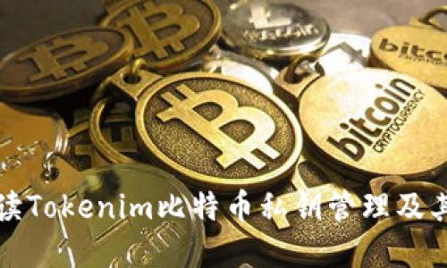 深入解读Tokenim比特币私钥管理及其安全性