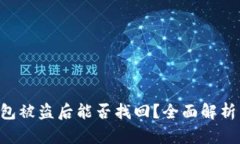 Tokenim钱包被盗后能否找回？全面解析与应对措施