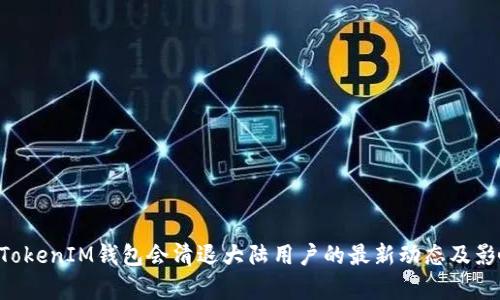 TokenTokenIM钱包会清退大陆用户的最新动态及影响分析