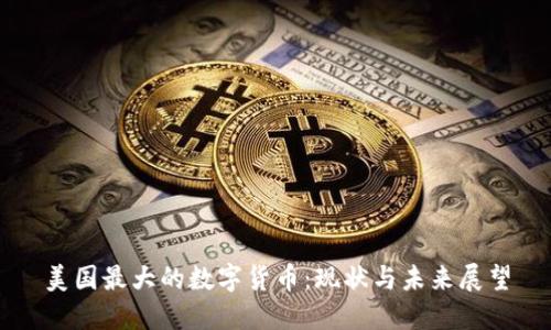 美国最大的数字货币：现状与未来展望