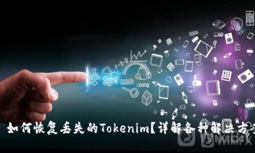 : 如何恢复丢失的Tokenim？详解各种解决方案