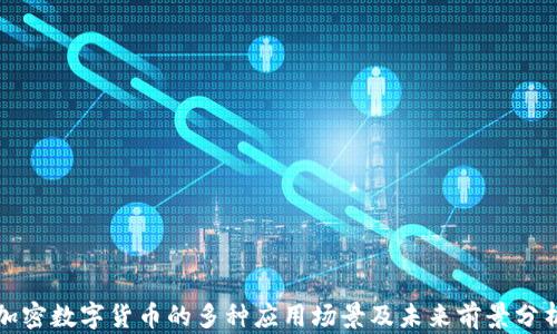 
加密数字货币的多种应用场景及未来前景分析