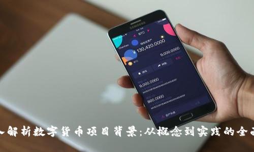 : 深入解析数字货币项目背景：从概念到实践的全面剖析