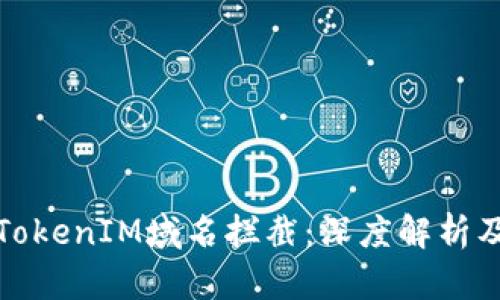 如何应对TokenIM域名拦截：深度解析及解决方案