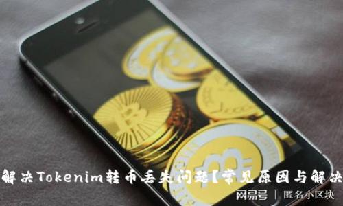 如何解决Tokenim转币丢失问题？常见原因与解决方案