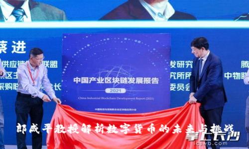 郎咸平教授解析数字货币的未来与挑战
