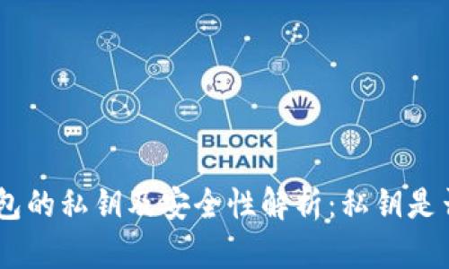 Tokenim钱包的私钥及安全性解析：私钥是否等于密码？