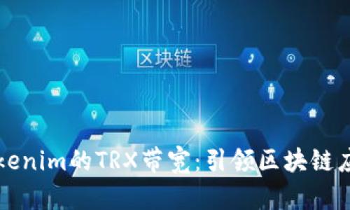深入解析Tokenim的TRX带宽：引领区块链应用的新标准