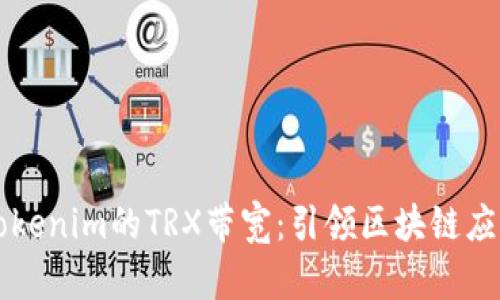 深入解析Tokenim的TRX带宽：引领区块链应用的新标准