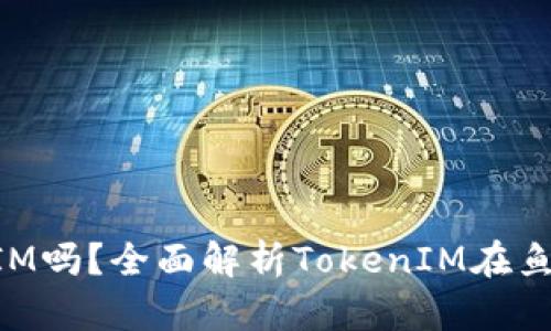 鱼池支持TokenIM吗？全面解析TokenIM在鱼池的应用和优势