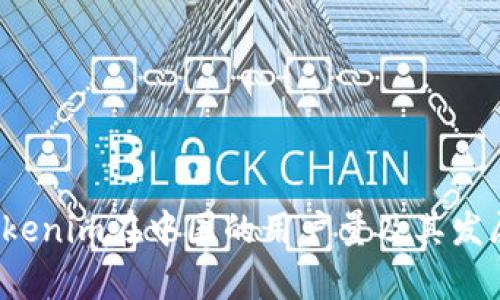 2023年Tokenim在中国的用户量及其发展趋势分析