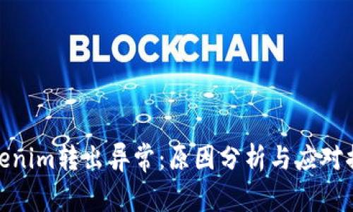 tokenim转出异常：原因分析与应对措施