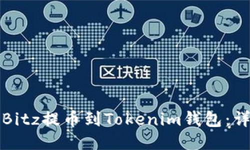 如何将Bitz提币到Tokenim钱包：详细指南