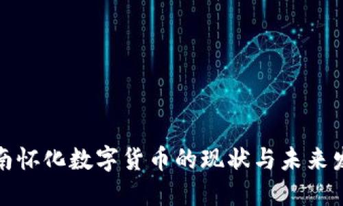 湖南怀化数字货币的现状与未来发展