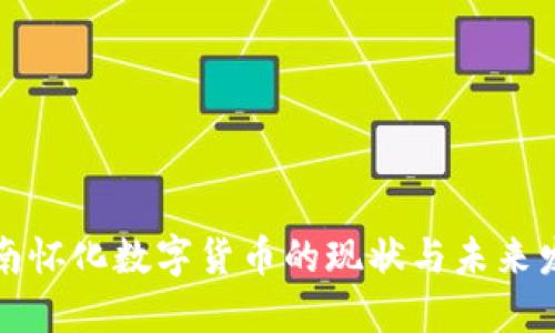 湖南怀化数字货币的现状与未来发展