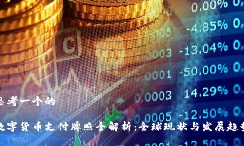 思考一个的

数字货币支付牌照全解析：全球现状与发展趋势