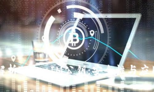 深入解析TokenIM公钥：安全性与应用场景